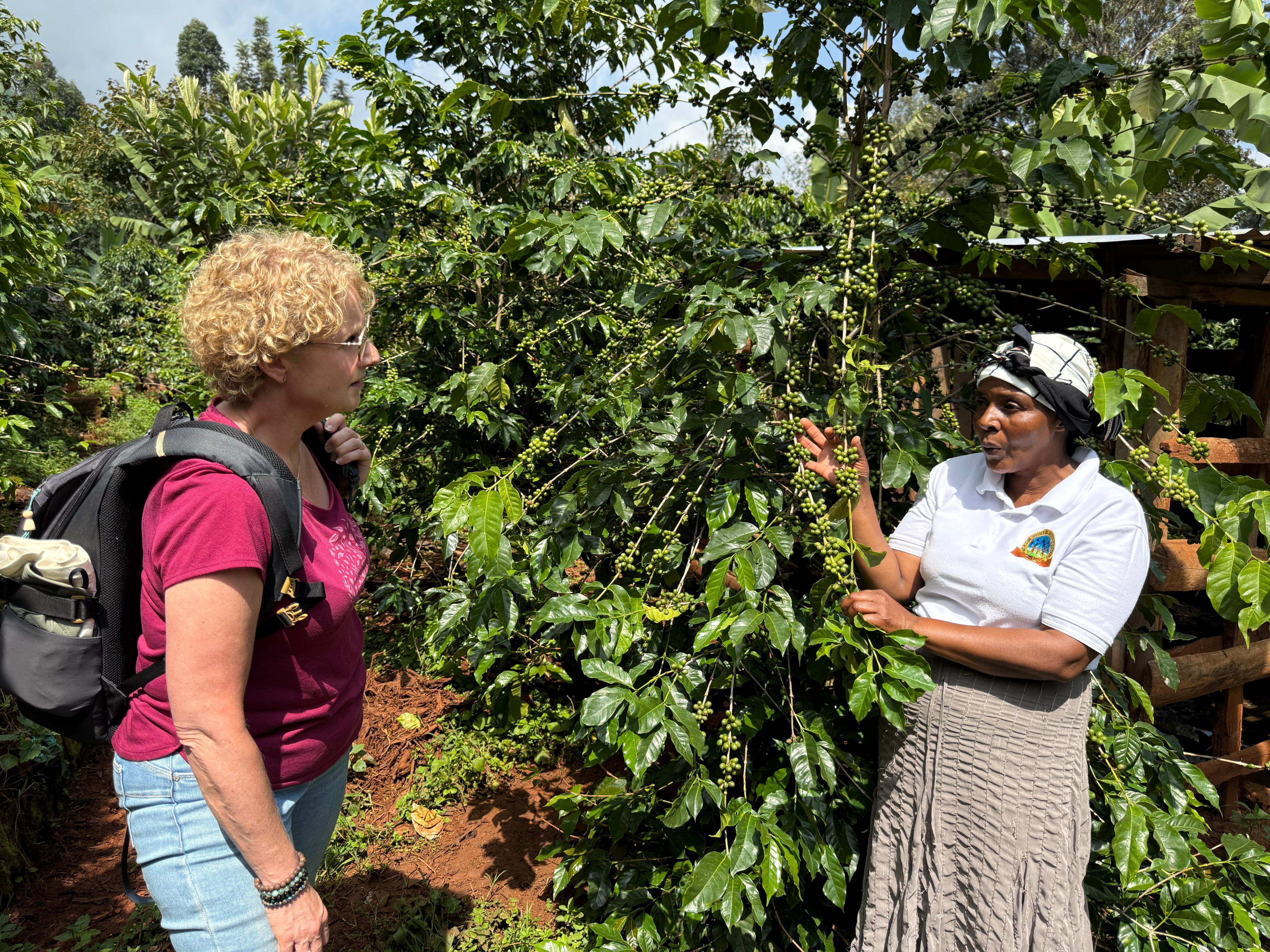 Women coffee farmers